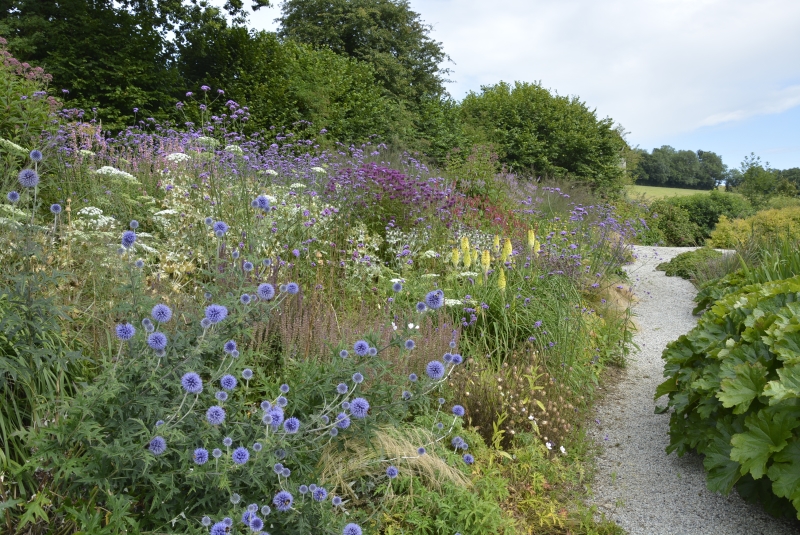 Am Brook Meadow